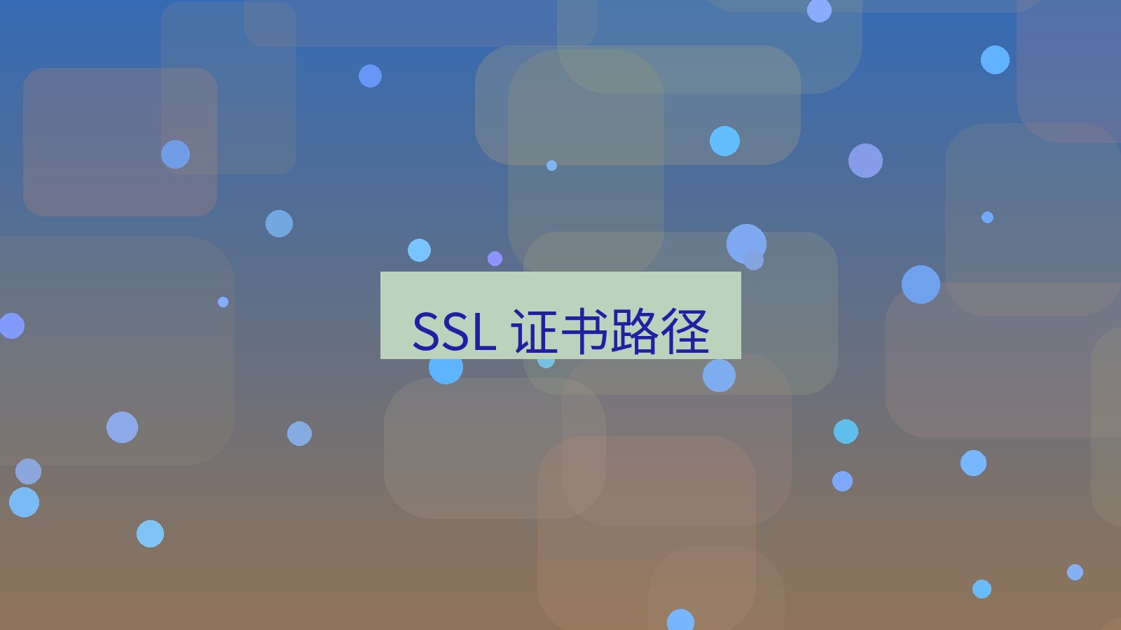 xchat官网 SSL 证书路径